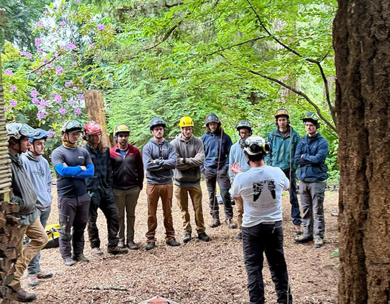 Company Safety Training for Tree Service