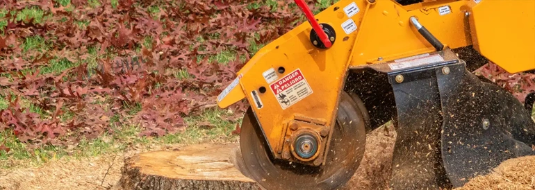 Stump Grinding