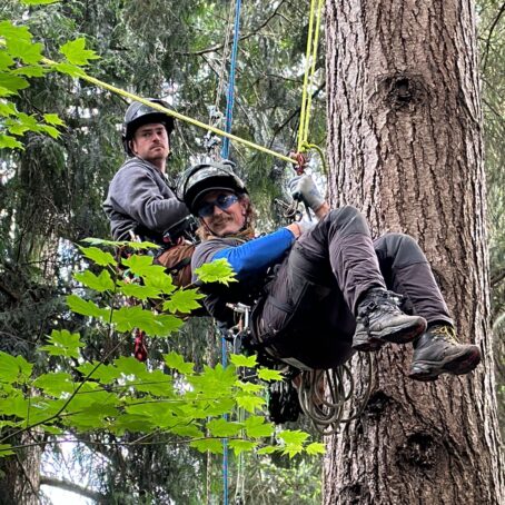 Residential Tree Removal in Seattle: Neighbourhoods We Serve