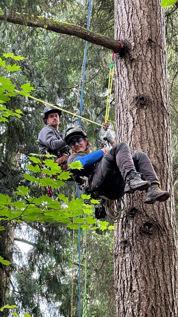 Blooma arborist on field