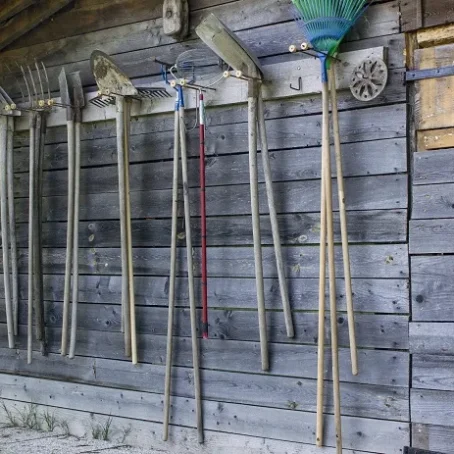 Seasonal Tree Care in Seattle: Year-Round Maintenance Guide