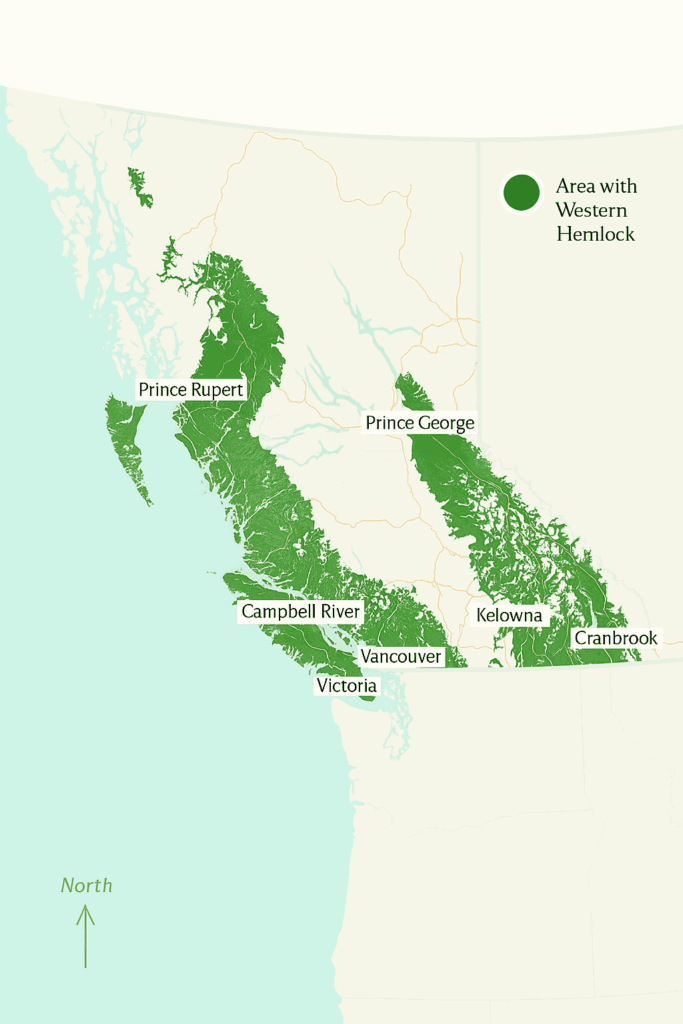 Geographic distribution map illustrating the natural range of Western Hemlock (Tsuga heterophylla) throughout coastal and interior regions of British Columbia, with shaded areas indicating where the species naturally occurs across the province's diverse forest ecosystems