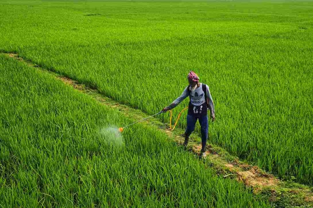 Farmer wearing protective gear while applying chemical pesticide spray in agricultural field as last resort tent caterpillar control. The safety equipment demonstrates proper handling procedures for chemical insecticides when organic methods prove insufficient for severe infestations.