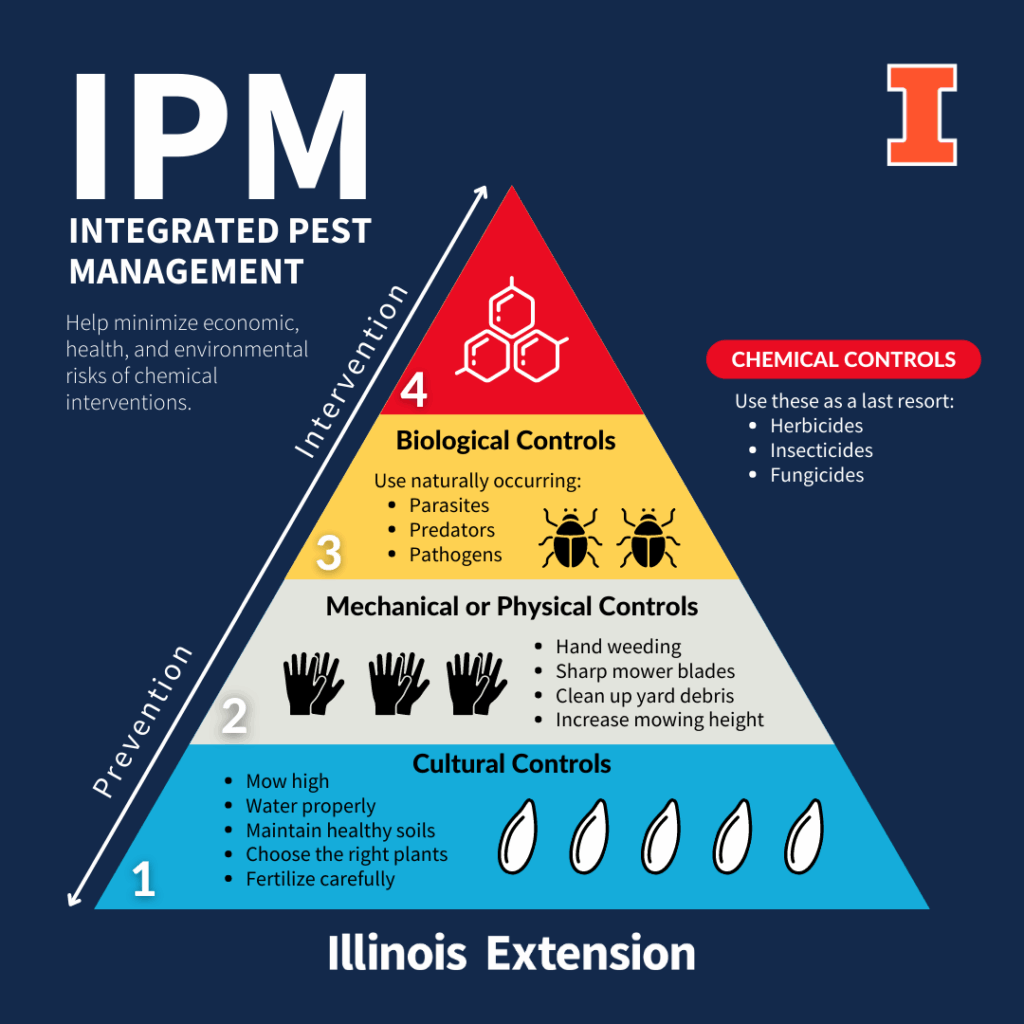 Integrated Pest Management pyramid diagram illustrating hierarchical approach to tent caterpillar control from cultural to chemical methods. The IPM framework shows proper sequence of cultural, mechanical, biological, and chemical controls for sustainable pest management strategies.
