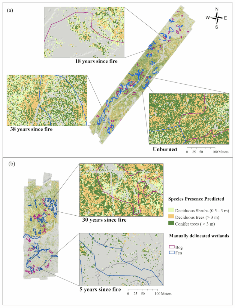 Multispectral lidar mapping data showing forest regeneration patterns in boreal peatland with coniferous trees and deciduous shrubs recovering at different time intervals following wildfire disturbance, displaying color-coded vegetation regrowth analysis.
