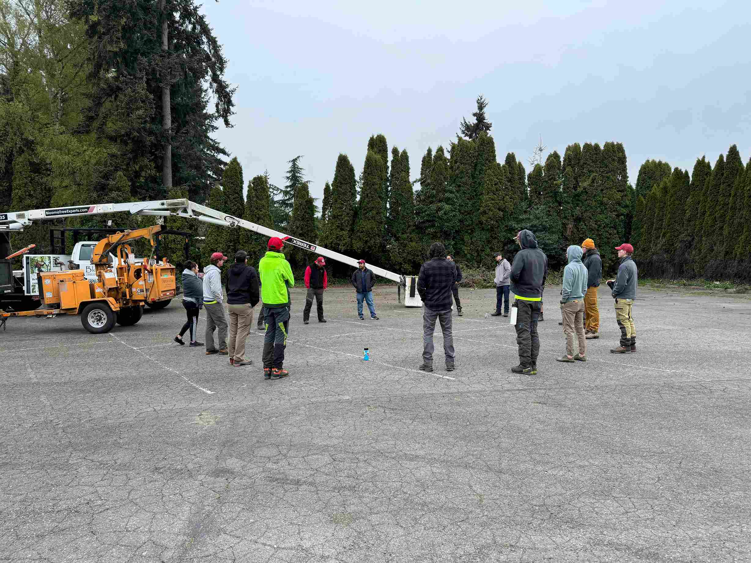 Bloomatree professional arborist team prepares pruning equipment