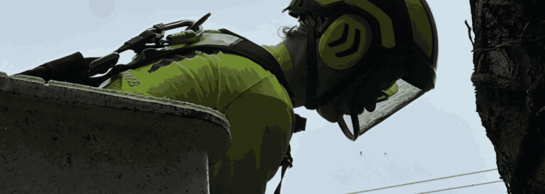 How Much Does It Cost to Remove a Fallen Tree? 2025 Pricing Guide