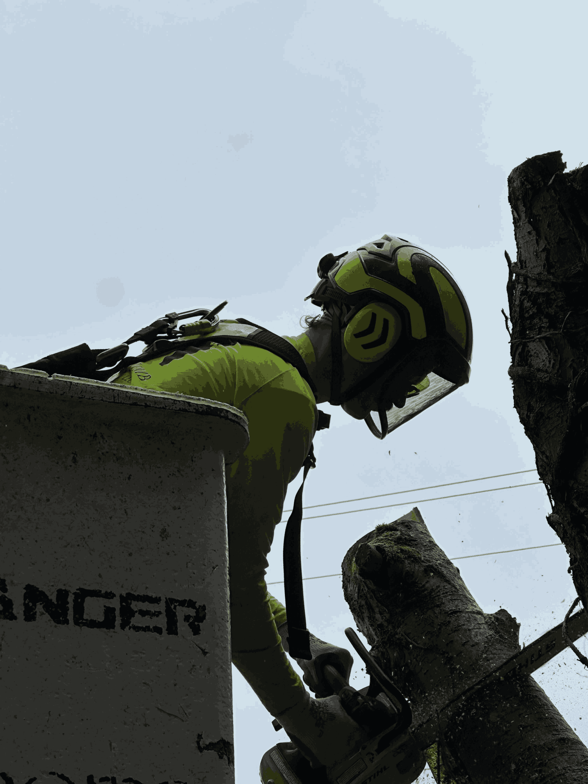 Bloomatree arborist removes a damaged branch to prevent hazards
