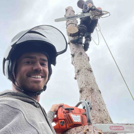 Hiring an Arborist: What ISA Certification Means for Tree Care Customers