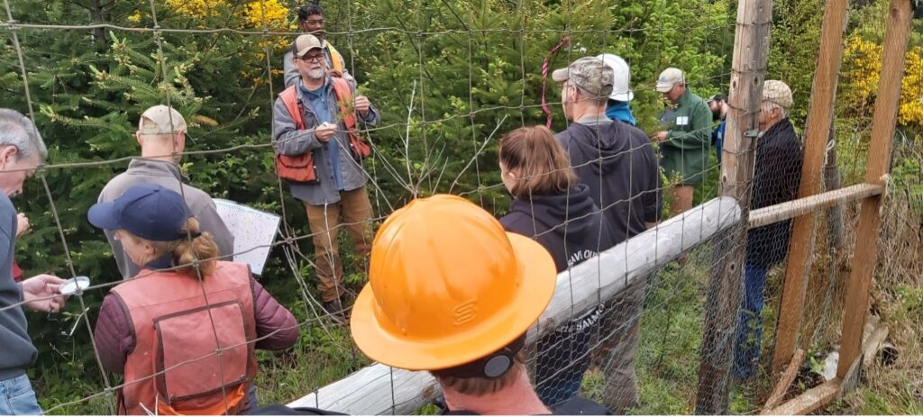 Oregon State University estimates that more than 520,000 acres are already impacted by timber losses of approximately 230 million dollars every year.