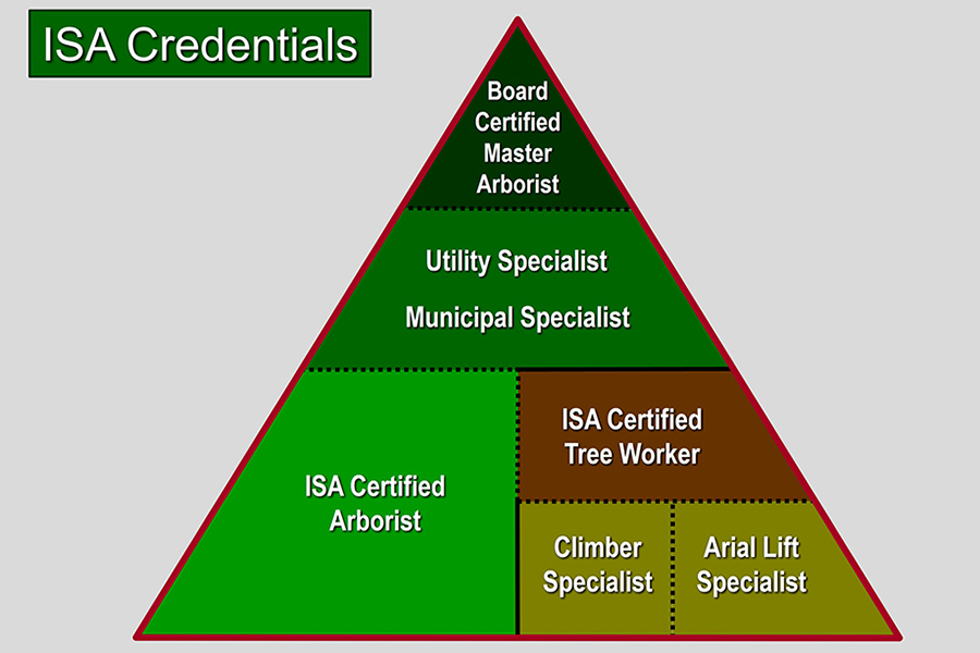 Hierarchy of ISA Credentials.