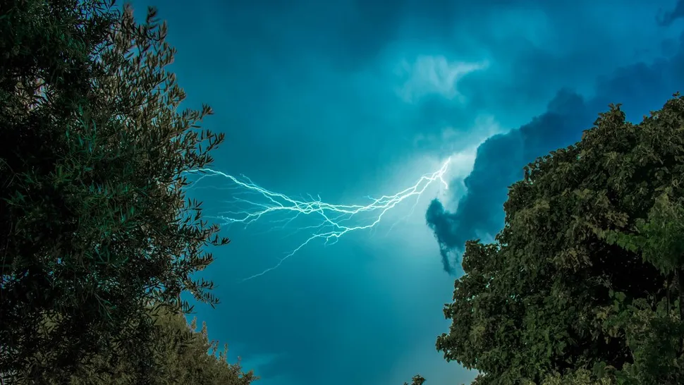 A jagged bolt cuts through the storm clouds as lightning races toward the treetops.