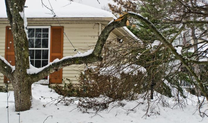 Snow accumulation causes a broken branch on a tree, posing potential hazards to property and safety.