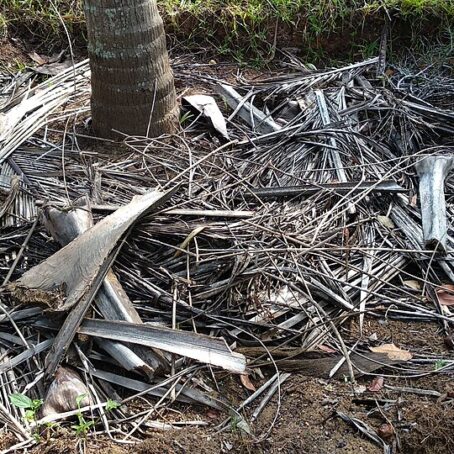 MULCHING – the “What, Why, and How”