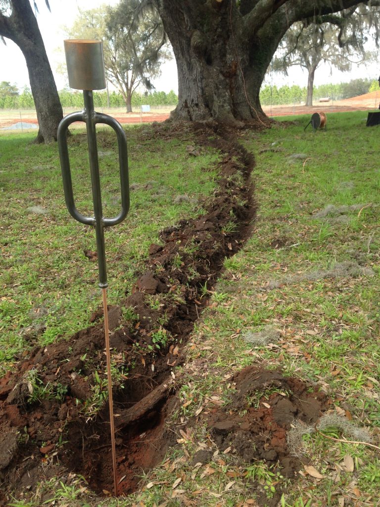 A grounding rod and conductor trench being installed to safely divert future lightning strikes away from the trunk of a vulnerable tree.
