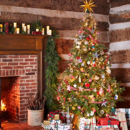 The History of the Christmas Tree: Why Do We Put Them Up?