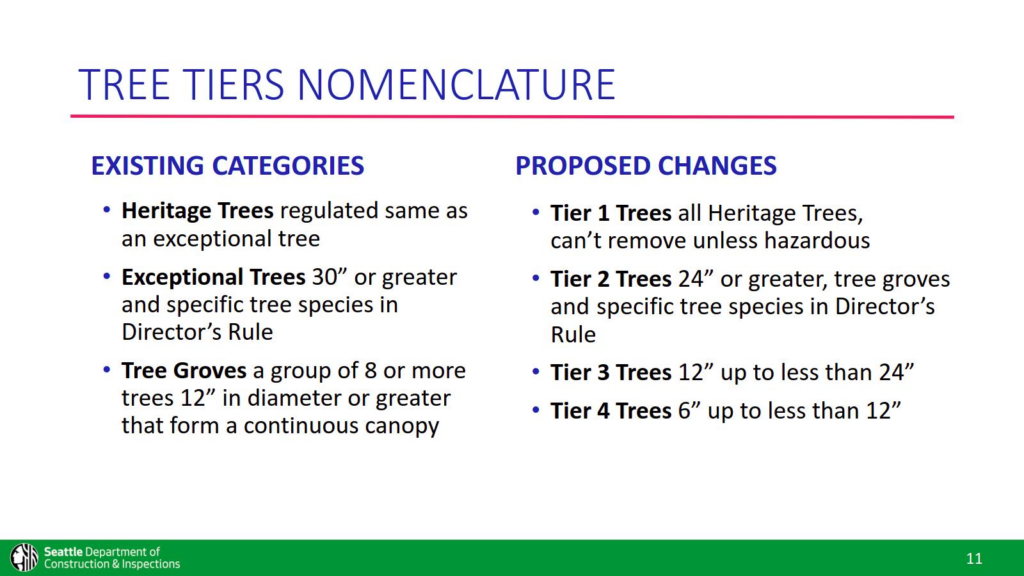 Seattle’s updated tree tier system categorizes trees by size and significance, with stricter protections for larger and heritage trees.
