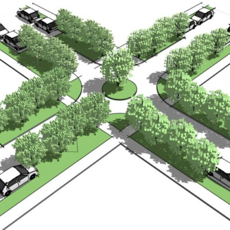 Seattle’s Tree Canopy Loss: What It Means for Homeowners