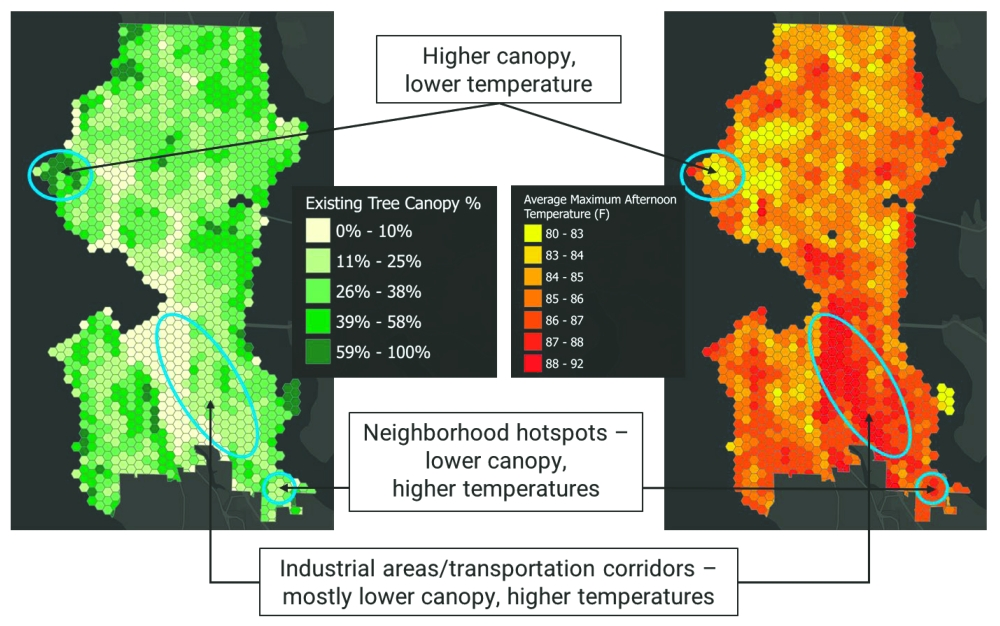 2021 Seattle data shows neighborhoods with lower tree canopy experience significantly higher temperatures, especially in South Seattle.