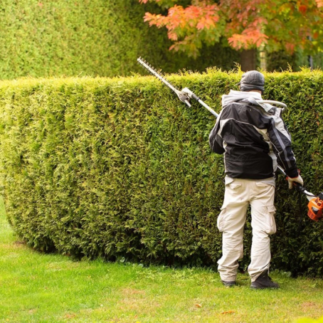 Hedge Trimming vs. Tree Pruning in Seattle: What’s the Difference?