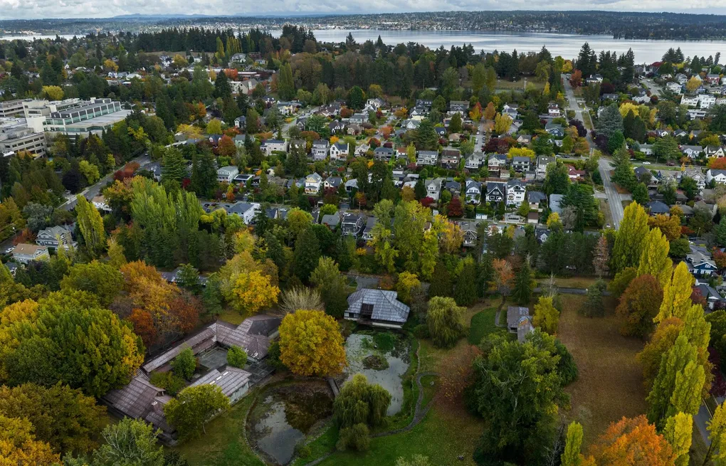 Seattle’s long summer dry spell, combined with compacted urban soils and heat from pavement, creates far more stress on city trees than most homeowners expect.