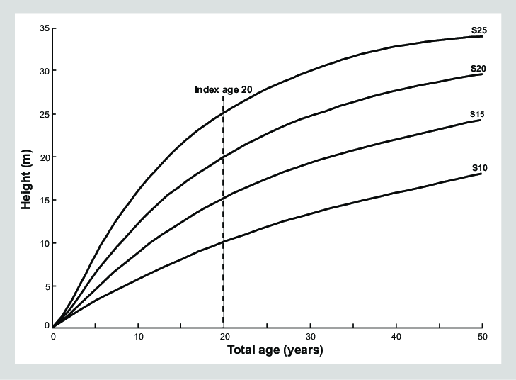 Red Alder height-growth curves illustrating growth patterns based on site quality and age, relevant for planting and care guidelines.