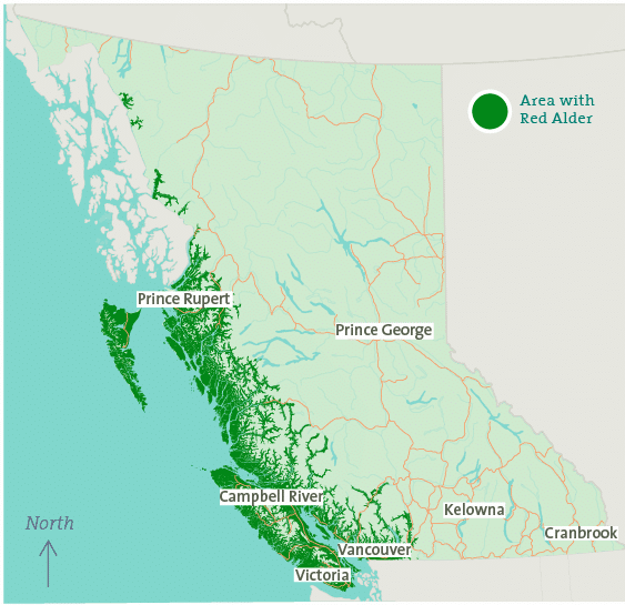 Geographic distribution of Red Alder (Alnus rubra) in the Pacific Northwest, highlighting key areas where it thrives.