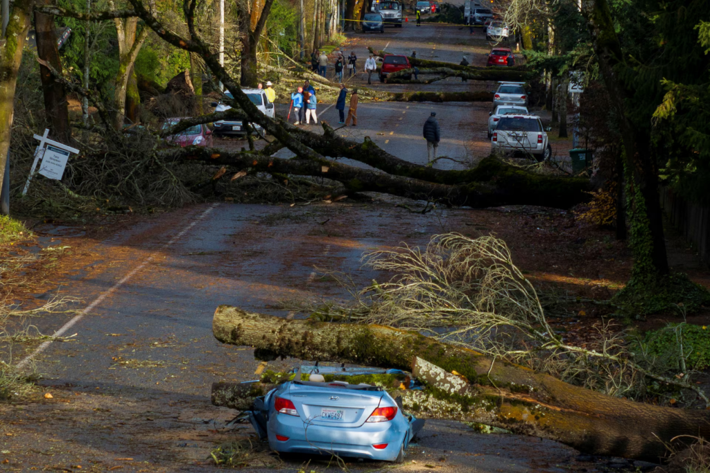 Fallen trees block a neighborhood street and crush a car after a powerful Northwest bomb cyclone.