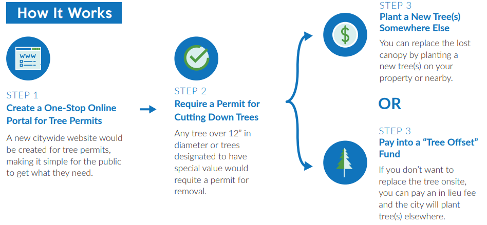 Proposed ordinance changes would require permits for tree removal and mandate replacement planting or payment into a tree offset fund.