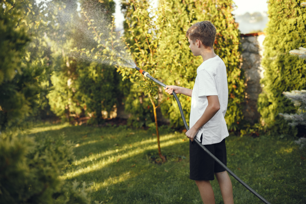 Deep and intentional watering of newly planted tree during the first spring.