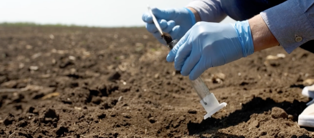 Soil test for tree nutrient deficiency, the right first step before fertilising.