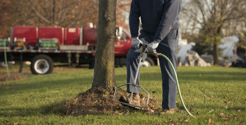 Bloomatree arborist performing professional deep-root fertilisation on mature Seattle tree.