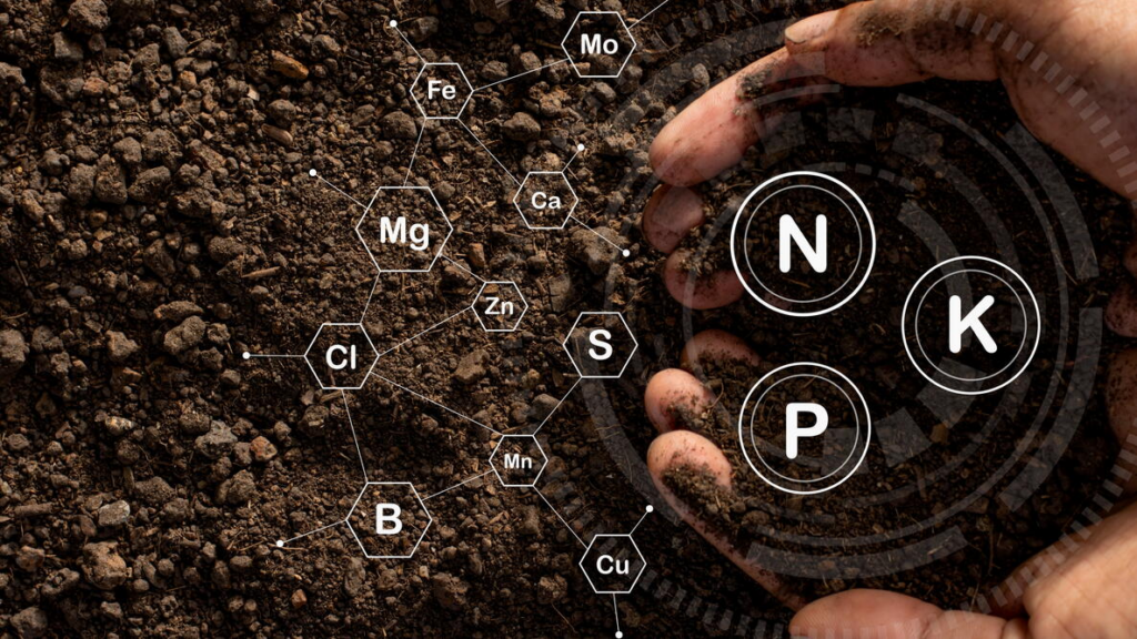 Tree fertiliser bag showing NPK ratio explained for homeowners.