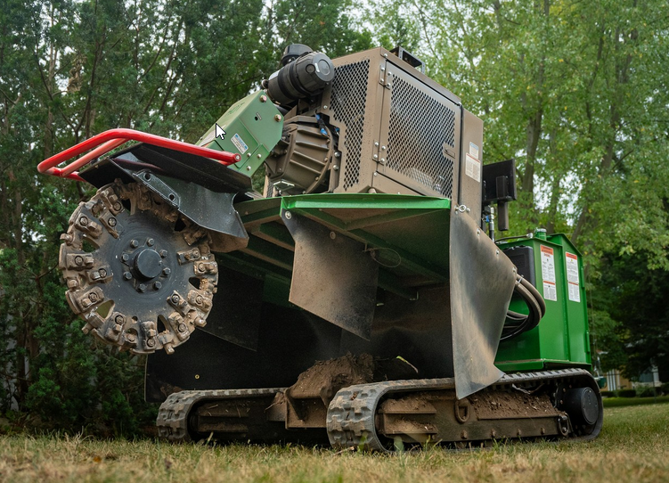 Professional stump grinding clears the way for fresh landscaping, flat lawns, and structural replanting projects.
