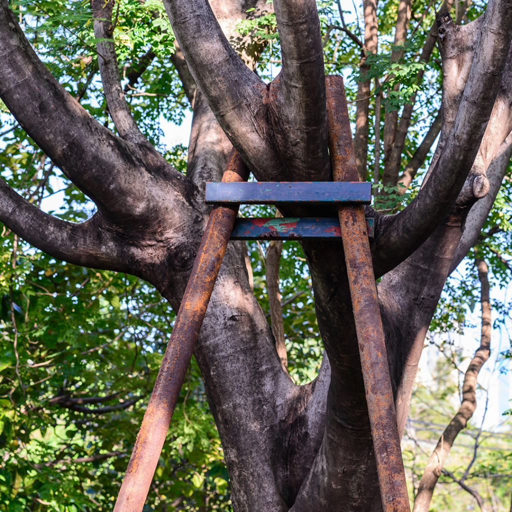 Regular arborist inspections check for proper cable tension and ensure the tree is growing healthily around the hardware.