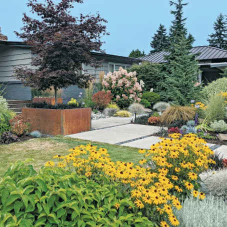 Do Trees Increase Property Value in Seattle? Here’s What the Research Actually Says