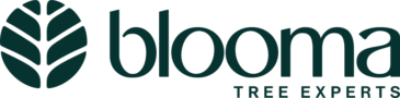 Blooma Tree Experts Logo
