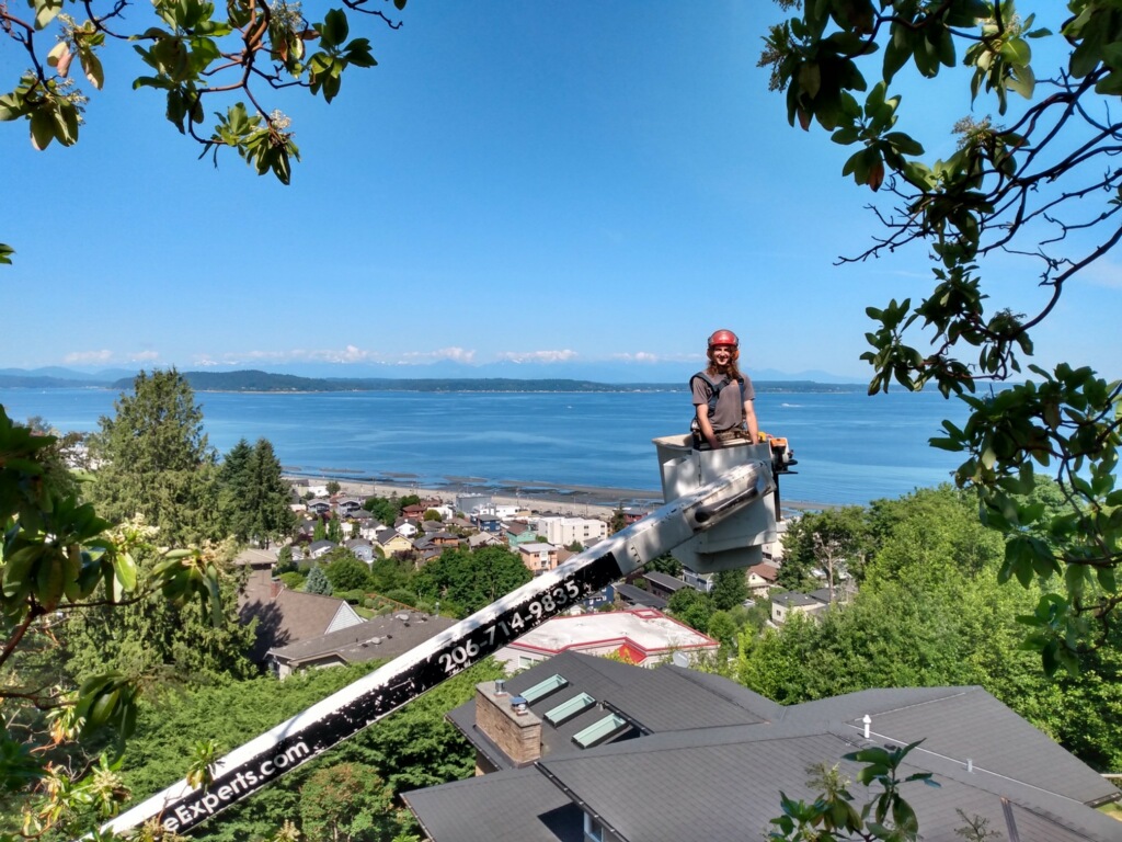 Blooma Tree Crew Managing trees on Madrona's steep, slide-prone lakefront slopes requires advanced rigging to protect soil stability and property safety.