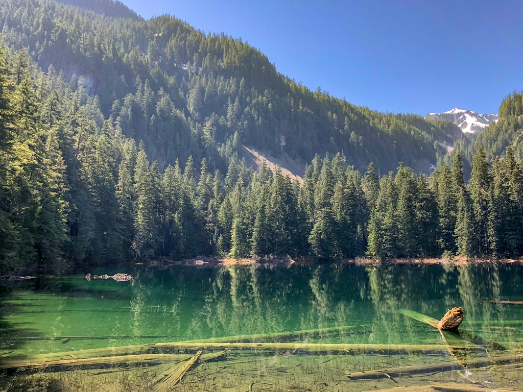 Green Lake’s iconic park and residential streets are home to some of the densest and oldest legacy tree canopies in Seattle.