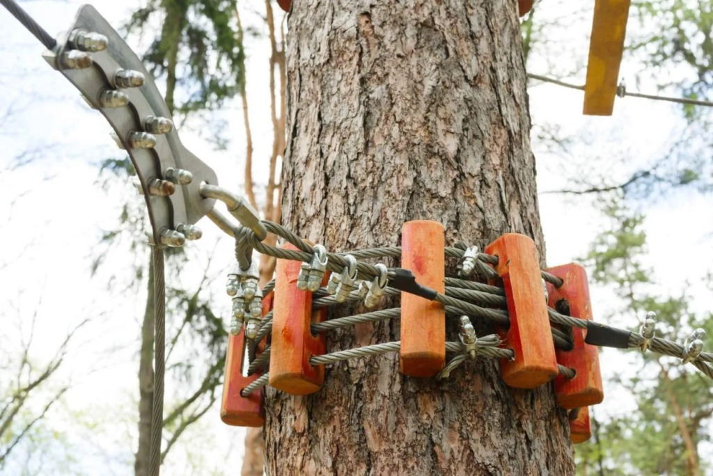 Arborists should not resort to removal, but can now install high-strength steel cables to safely support weighty limbs with poor attachment points.